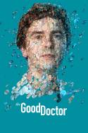boxcover van The Good Doctor