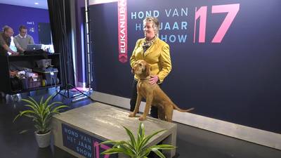 Hond van het Jaar: Lies en hond Glayva grijpen net naast titel