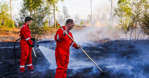 Natuurbrand Deurnsche Peel nog altijd niet onder controle, brandweer zet vol in op stoplijn - Eindho