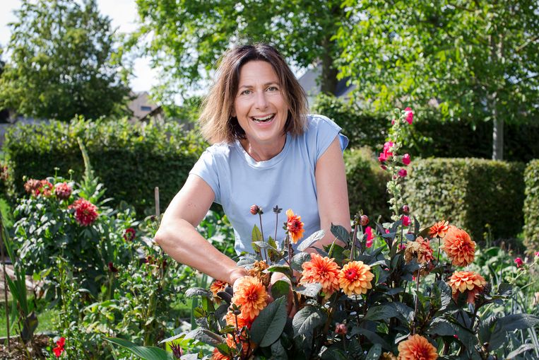 Tuintips van Laurence hoe we de tuin moeten aanpakken na de droogte