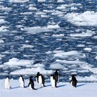 Realistischere voorspellingen kunnen hopelijk ook sceptici aanzetten tot actief klimaatbeleid, maar ik zou er niet op rekenen