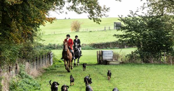 Vier Verenigingen Jagen In Berg En Dal Voor 80e Verjaardag Toon