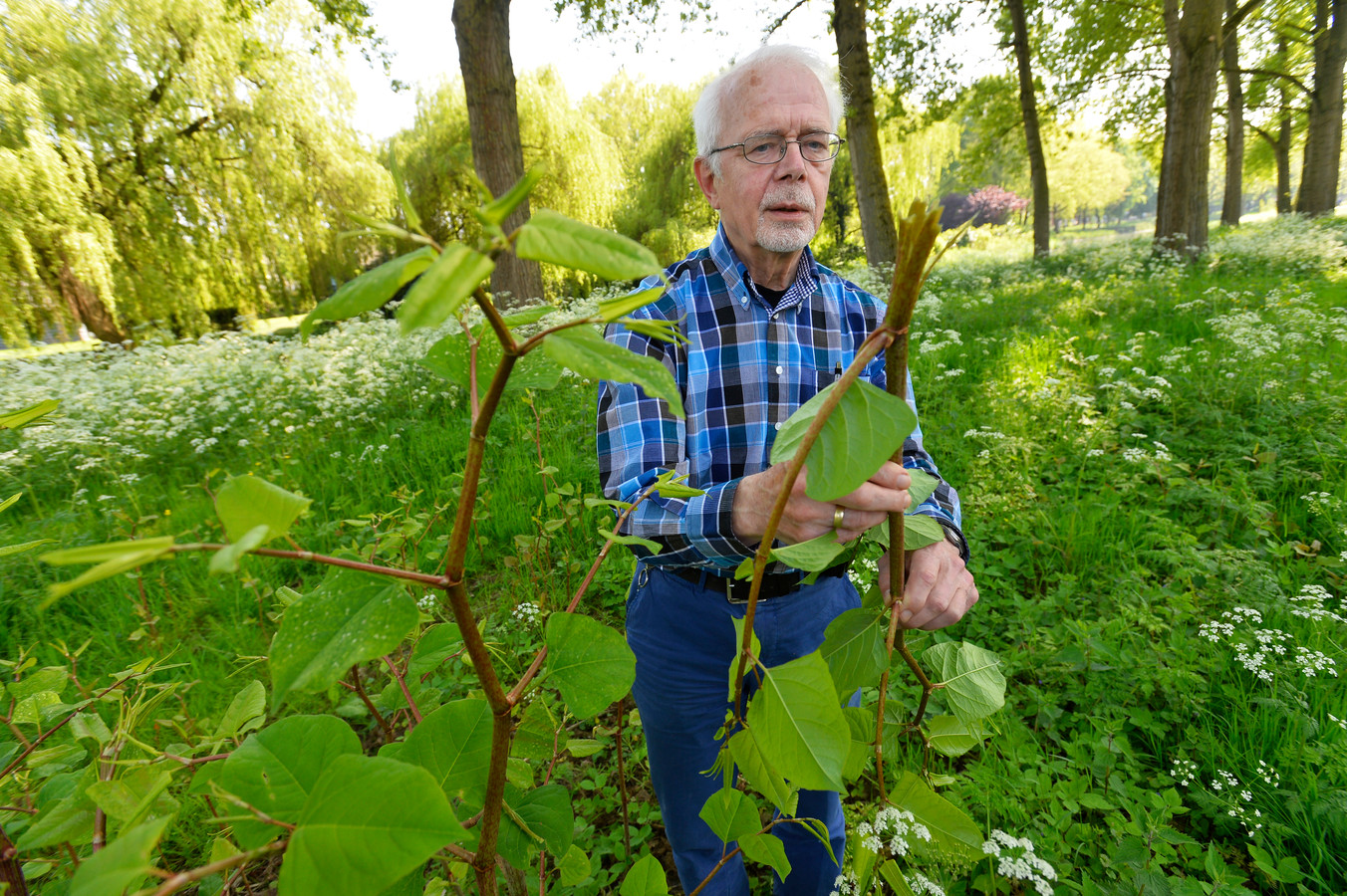 VIDEO: 'Roei duizendknoop met wortel en tak uit', zegt ...