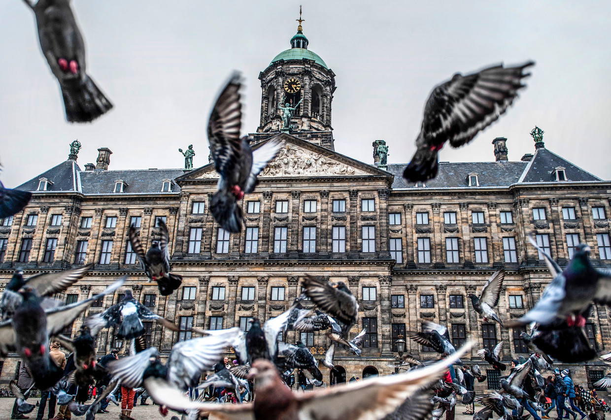 Deel raad wil van Paleis op