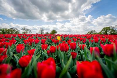 Een bijzonder, vrolijk of mooi verhaal? Laat het ons weten!