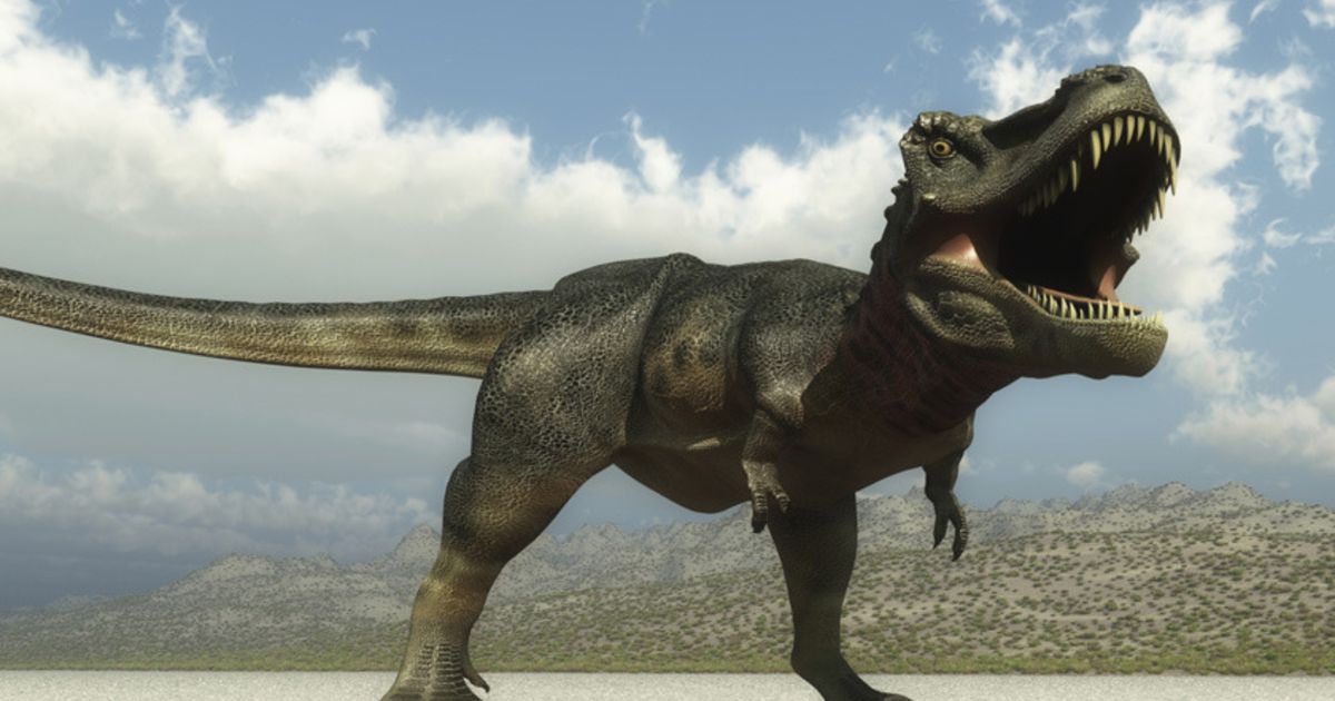 Koop eens een stukje dinosaurus Wetenschap & Planeet HLN