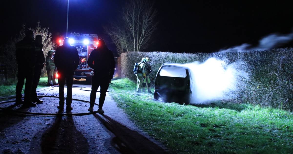 RHENEN Een geparkeerde auto aan De Horst is zaterdagochtend bijna volledig uitgebrand.