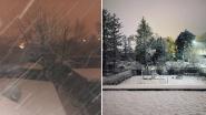 Delen van Vlaanderen worden wakker onder laagje sneeuw en dat ziet er zo uit