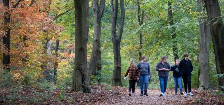Coronaproof wandelen in de Edese en Rhenense bossen: mijd de drukke momenten