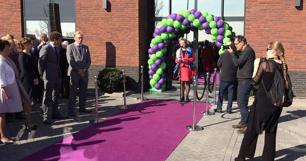 Grootste Nederlandse chrysantenkas geopend in Zuilichem | Zaltbommel - BD.nl