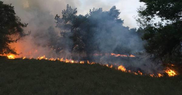 Grote natuurbrand in Vorden waarschijnlijk aangestoken | Bronckhorst - De Gelderlander