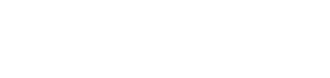 The Minister
