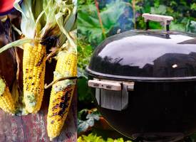 Barbecueën met Yvette: kies je voor briketten of houtskool?