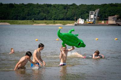 Verkoeling zoeken in het zandgat