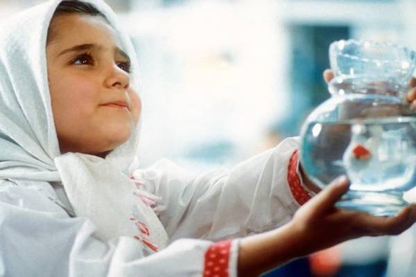 Zomergastfilm: The white balloon