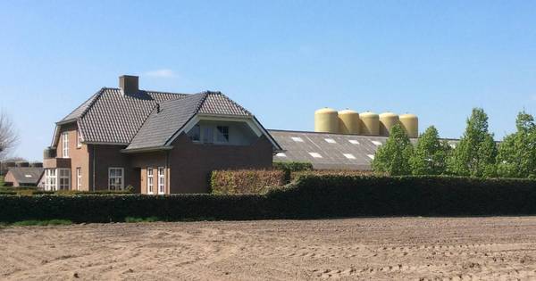 Varkenshouder De Rooij uit Heukelom overtuigt wethouder: 'Ik herken me niet in krantenartikel' - BD.