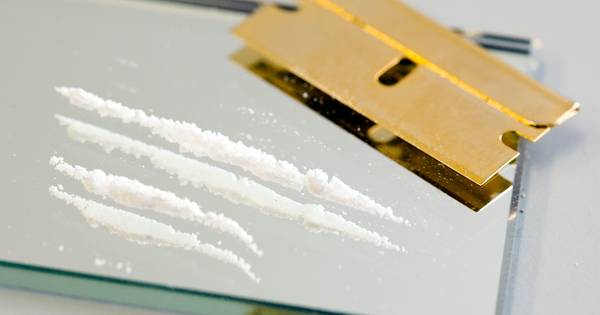 Bergenaar probeert drugs te verstoppen bij politieauto en mishandelt agenten - BN DeStem