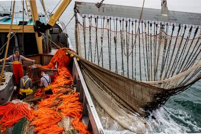 Mooie vinding weggezet als ‘Kwaad van de Zee’