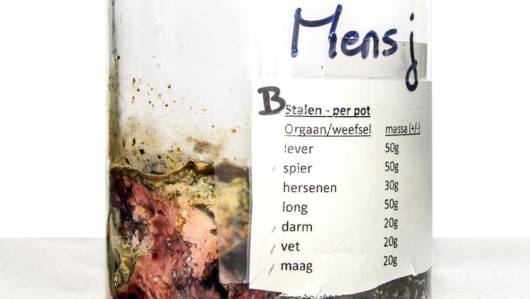 de lucht van de dood went nooit de volkskrant