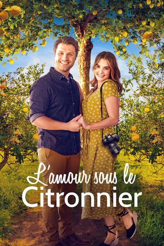 L&#39;amour sous le citronnier