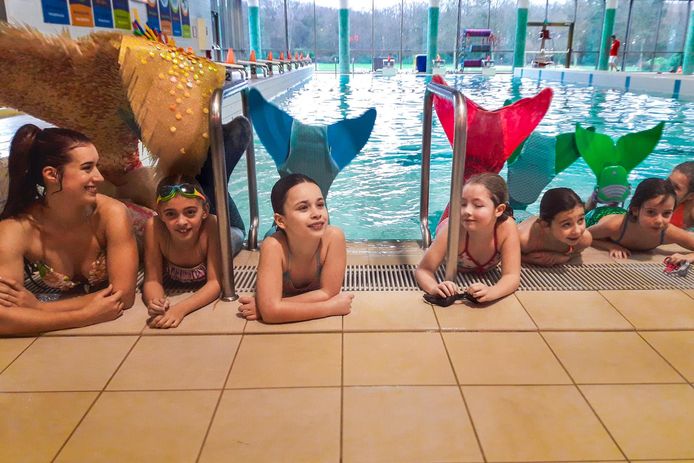 Sportoase Start Met Mermaid School Rotselaar Hln Be
