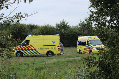 Kind (7) overlijdt na aanval door koe in Zeeuws weiland