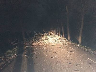 Dreischor kan het nauwelijks geloven: is de gevaarlijke Roterijdijk binnenkort eindelijk verleden ti