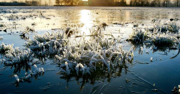Bijna nachtvorst in Twente | Het weer - AD.nl