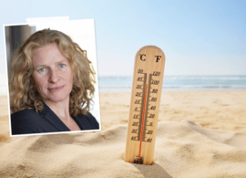 Dit zijn de gevaren van een hittegolf en klimaatverandering, volgens de expert
