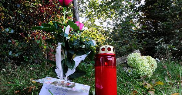 Gezinsdrama Fries dorp: 'Jongste zoon is raar, maar weer niet zó raar' - AD.nl
