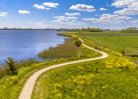 Friesland op je gemak: zeven heerlijke wandelroutes onder de drie uur