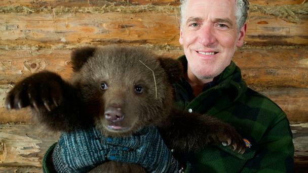 Gordon Buchanan: bringing up grizzly