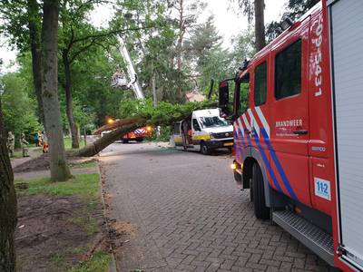 Boom valt op busje van Stedin