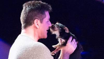 Simon Cowell doneert geld om honden van slacht te redden