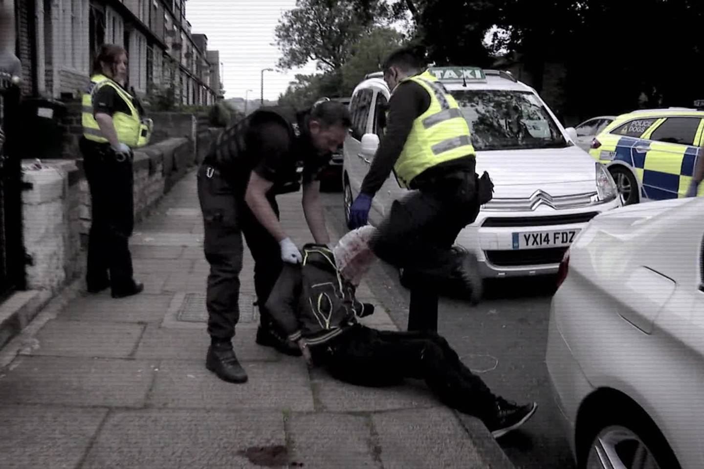 Police Interceptors