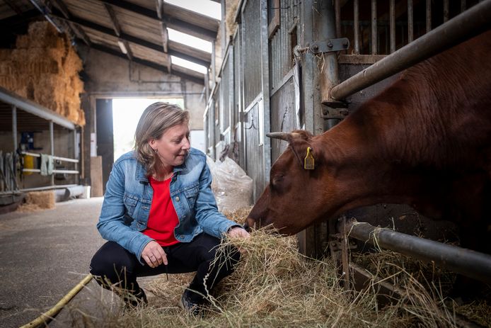 Irma Schouwenaars: 'Het is heel belangrijk om te weten wanneer het genoeg is voor een dier en dat je weet wanneer je moet stoppen'.