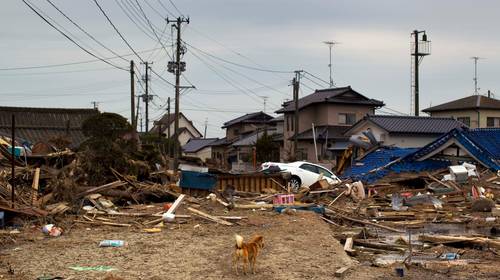 Het trauma van Fukushima zit nog altijd in de poriën van ­Japan