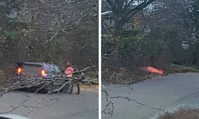 Ezel krijgt spuitje op straat, omwonenden kinderboerderij geschokt