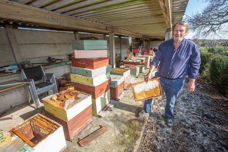 Tienduizenden bijen verdwenen bij imker in
