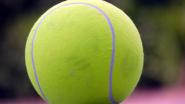 Internationale Tennisfederatie richt spelersraad voor "mindere goden" op
