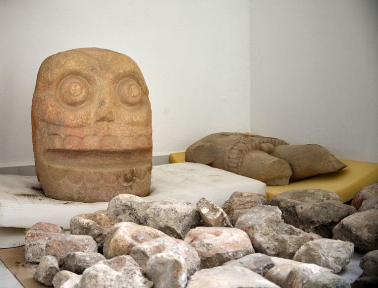 Een van de twee stenen hoofden die werd ontdekt.