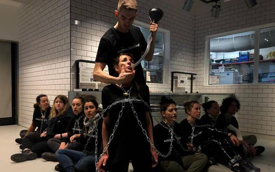 14 vastgeketende actievoerders Animal Resistance aangehouden op Antwerpse Groenplaats 