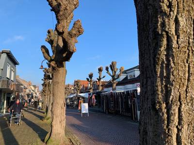 Marktstraat in Made na carnaval op de schop