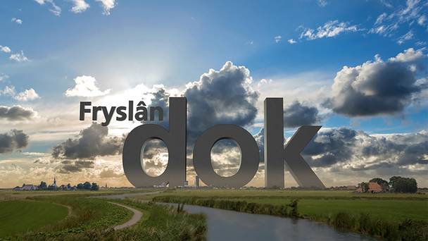 Fryslân DOK