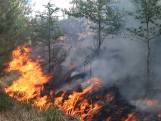 Bosbrand in Gilze, vuur moeilijk te bereiken voor hulpdiensten