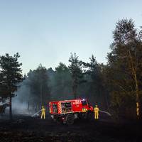‘De waterstanden gaan pijlsnel naar beneden’: risico op natuurbranden groeit in België