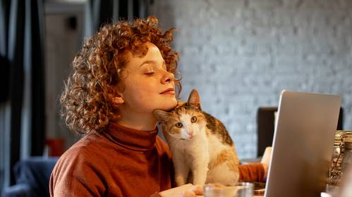 Tips voor videomeetings
