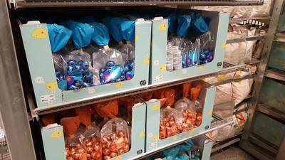 'Paaseitjes in januari? Dat is een geintje zeker'