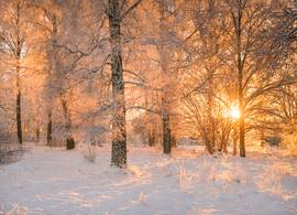 Dít is de weersvoorspelling voor deze winter