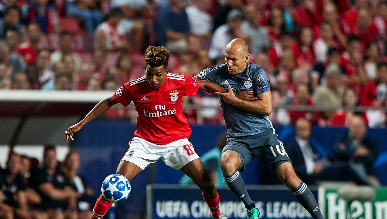 Gedson Fernandes Net Zo Gewild Als Matthijs De Ligt Het Parool